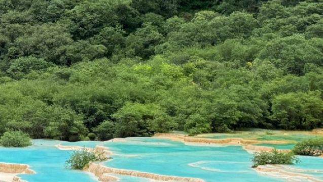 Huanglong Scenic Area - Shuttle Bus to Huanglong Jiuzhaigou High-Speed Rail Station with luxury van & comfortable bus options available