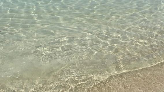 深圳一日遊經典打卡