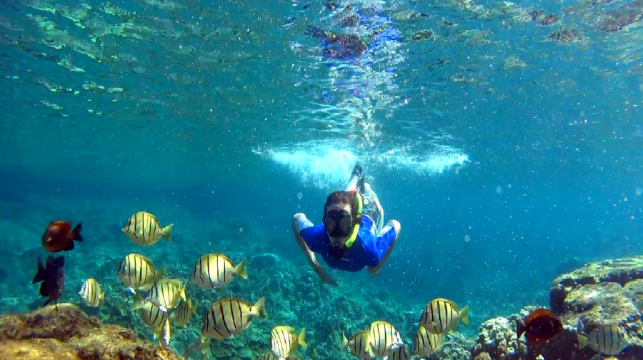 [峇裡島出發] 佩妮達島 3次浮潛+船票+俱樂部午餐+包車