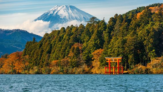 富士箱根｜箱根海賊船、箱根空中纜車、箱根神社、漫遊江之島