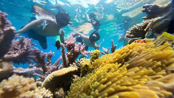 Nha Trang: Tour de snorkel de medio día con barbacoa a bordo