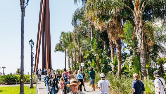 Nice: Tour đi bộ có hướng dẫn viên cung cấp thông tin về Phố cổ và Đồi Lâu đài