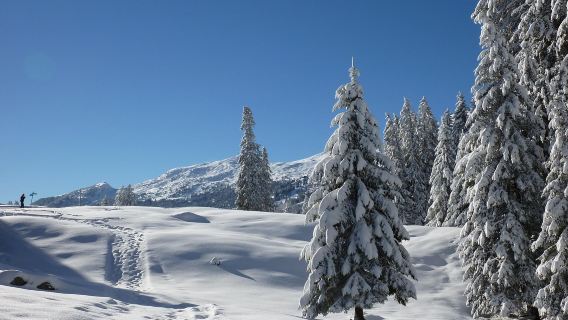 挪威卑爾根+松恩峽灣+艾於蘭峽灣｜峽灣日遊【多/日遊可定制】