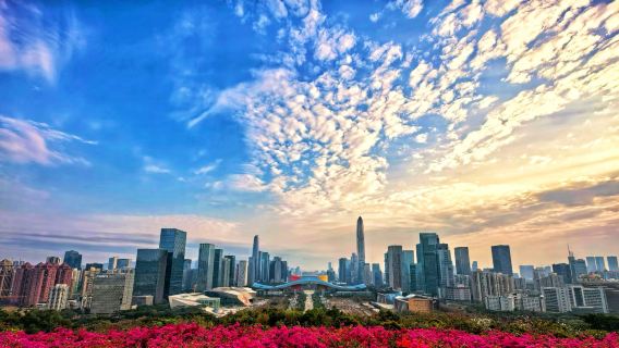 Hong Kong - Shenzhen Private Charter 1-day Tour Private Tour: Shenzhen Bay Park + Lian Hua Shan Park + Sea World