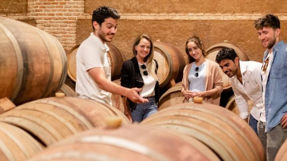 Toledo: Lawatan Bandar & Kilang Anggur dari Madrid + Mencicipi Wain