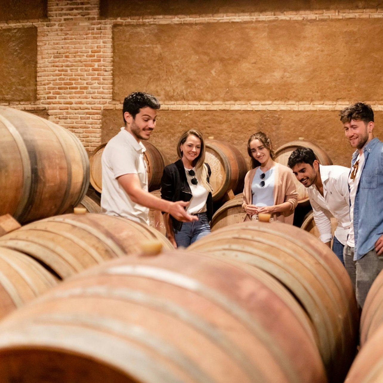 Toledo: tour della città e delle cantine da Madrid + degustazione di vini