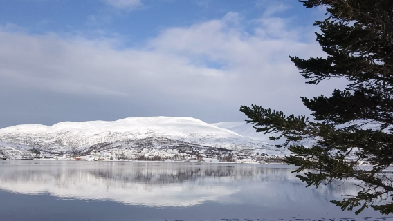 挪威斯沃爾韋爾+羅弗敦羣島-可多日定制【包車-跟團詢客戶服務支援】