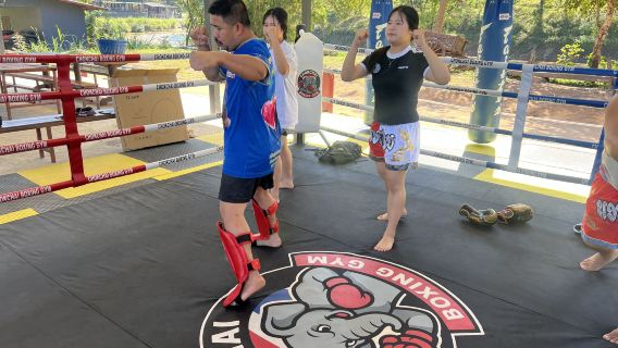 Muay Thai en el Campamento de Elefantes Chokchai