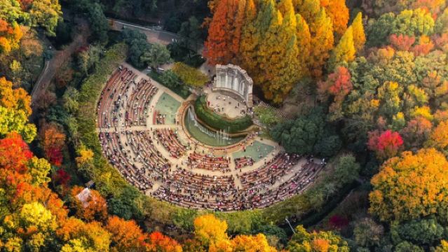 中山陵景區+音樂台+美齡宮+陵園路【私家團3小時人員導覽】