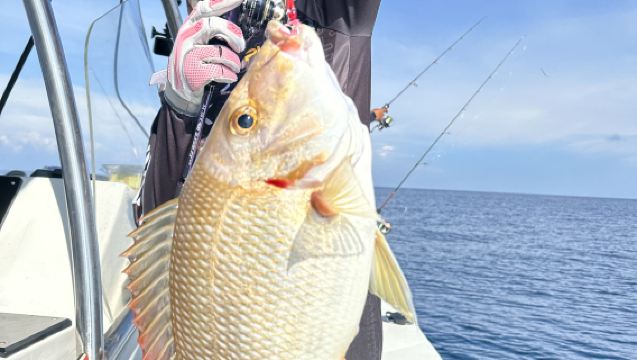 浮羅交怡海釣近海丨外海丨深海 拼團【提供專業釣具+魚獲全帶走】