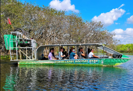 Miami + Everglades National Park Half-Day Tour - Airboat Adventure - Get Up Close with Alligators
