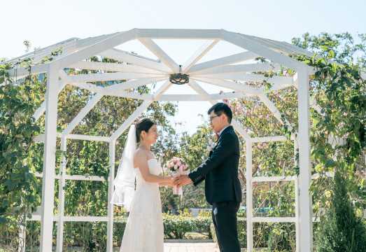 Hong Kong Trip Moments[Marriage Certificate Photo Shoot/Registration + Chinese Communication + Approximately 100 Photos + Full Color Grading |...