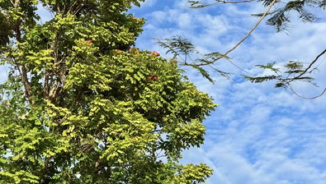 괌 프라이빗 가이드/통역 당일 치기 여행 동반 플레이 | 커스터마이징 가능 | 비즈니스 일정 가능