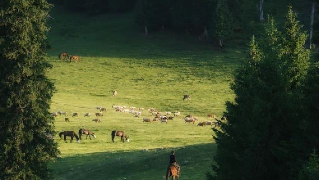 新疆伊犁新源那拉提大巴一日遊