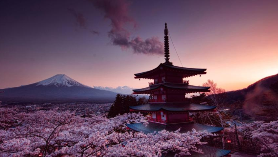 日本全境  導遊 旅行陪同嚮導地陪 商務翻譯/專屬私人定制 · 自由行地接