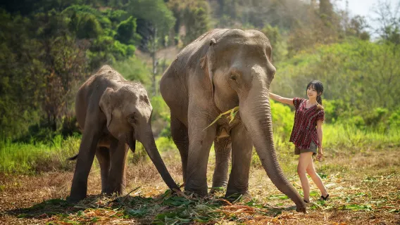 Best rated tour for Adventure Tours from Phuket with an average score of 5 Best rated tour for Adventure Tours from Phuket with an average score of 5