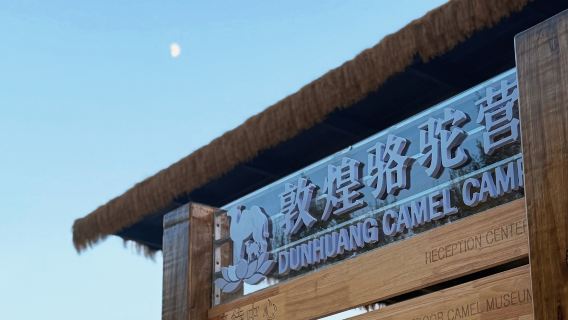 Handmade experience at DUNHUANG CAMEL CAMP – Baby camel interaction + drinks + DIY crafts