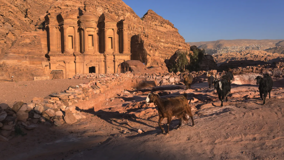 Fritidsrejse i hele Jordan | Privat chauffør-guide + professionel guiding ved seværdigheder + forretningsoversættelse + privat transport