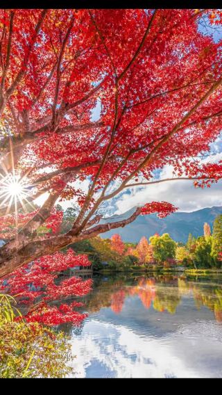 Japan Fukuoka + Hells of Beppu + Yunohira + Yufuin + Lake Kinrin 1-day tour/customize