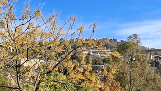 Constantine: Full-Day City of Bridges and Caves Tour