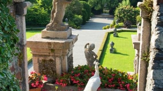 Isola Bella & Isola Madre Entry & Boat Transfer from Stresa