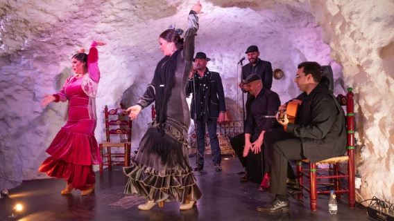 Spettacolo di Flamenco in un Ristorante in Grotta a Granada