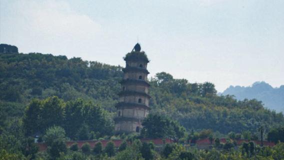 Xi'an: Templo Daqin y Louguantai, excursión de un día con coche (tour privado en inglés, ruso o español)