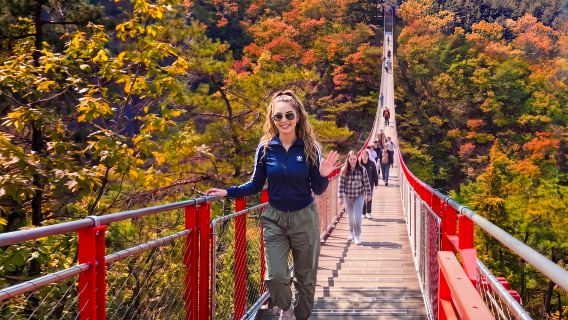 DMZ однодневный тур [Третий туннель + парк Имджингак + канатная дорога] + подвесной мост горы Камаксан