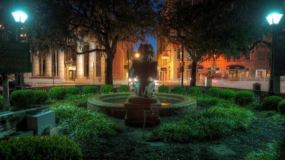 SavannahTours