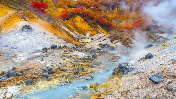 Hokkaido Noboribetsu Hell Valley + Lake Toya + Lake Shikotsu + Showa Shinzan Bear Farm one-day tour