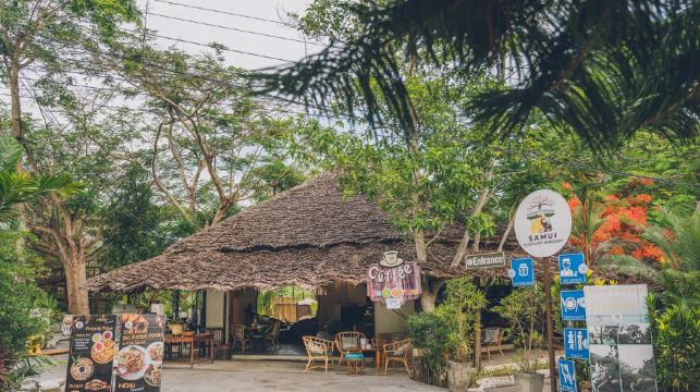 蘇梅島大象王國【餵大象|空中棧道|網紅大象咖啡廳