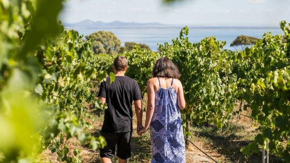 Around the Bay: Day Trip from Melbourne with Food & Wine Tastings