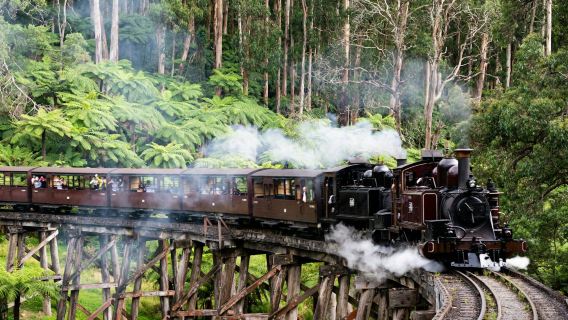 Puffing Billy Railway: Ride & Wildlife Tour + Transfers