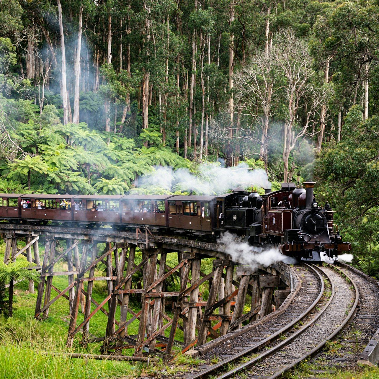Puffing Billy Railway: Fahrt & Wildtierbeobachtung + Transfers
