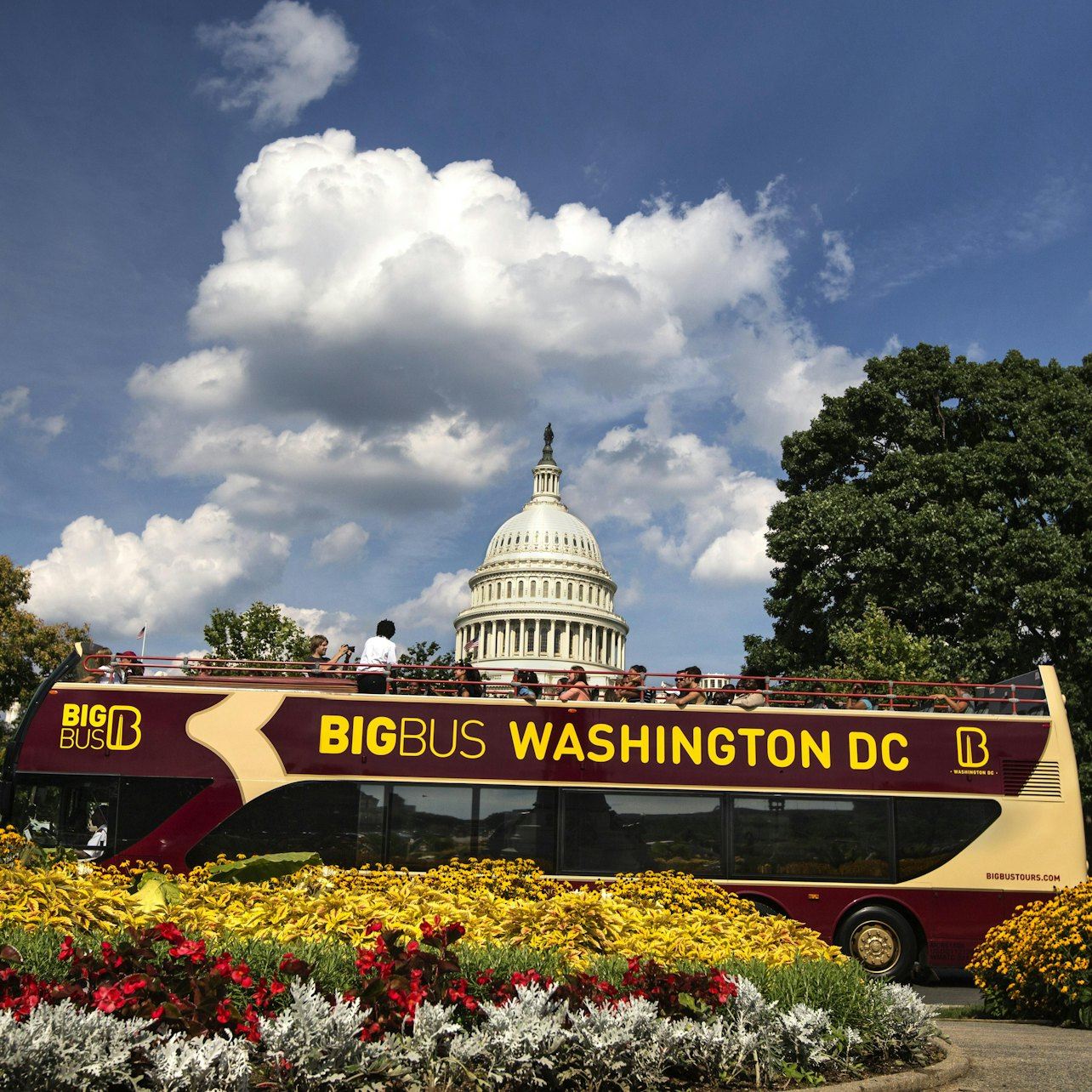Big Bus Washington D.C.: Recorrido en autobús al atardecer, visita guiada a pie y audioguía