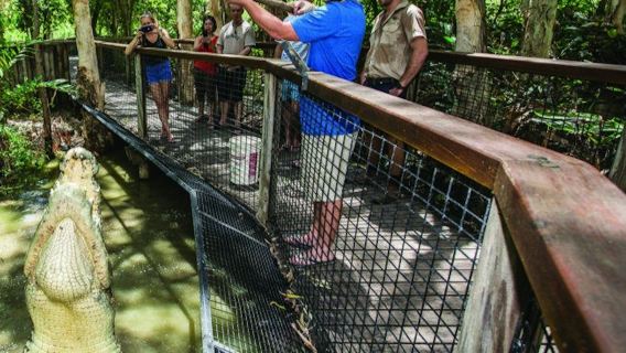Hartley's Crocodile Adventures: Entrada