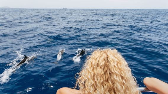 Costa Adeje: Whale Watching Catamaran Tour with Drinks