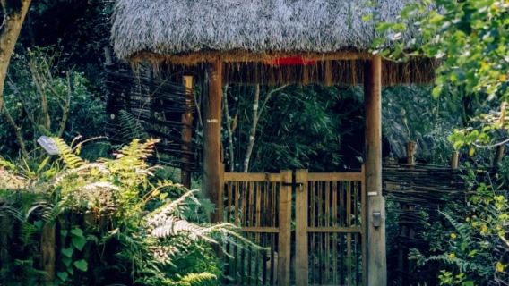 однодневный тур в Тенчун с посещением водно-болотных угодий Бэйхай, деревни Гинкго и национального геологического парка вулканов и геотермальных источников с услугами на китайском и английском языках