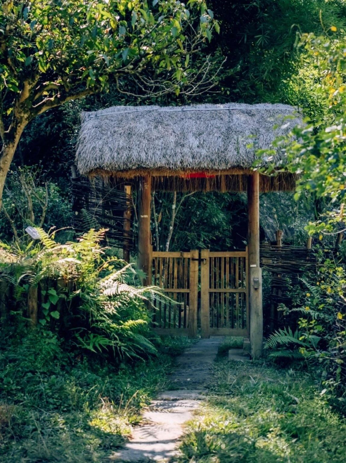 однодневный тур в Тенчун с посещением водно-болотных угодий Бэйхай, деревни Гинкго и национального геологического парка вулканов и геотермальных источников с услугами на китайском и английском языках