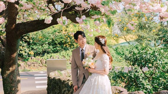 함브루크