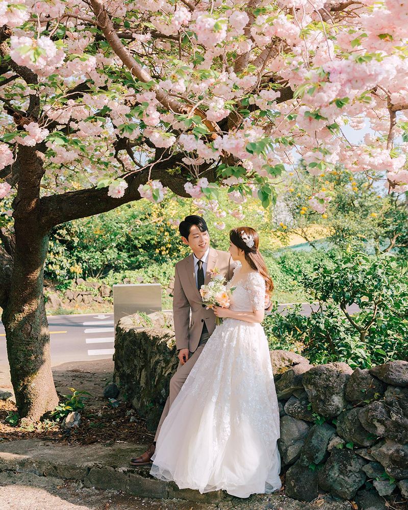 Fotoshooting in Hamburg, Deutschland[Fahrer, Reiseleiter, Fotograf und Drohnenaufnahmen + Hochzeitsfotografie, Kurzfilme + Make-up und Kostüme + maßgeschneiderter Privattransfer]