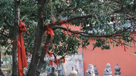 ดอกไม้ทะเลหยุนติ้งเกาโป กุ้ยหยาง-อุทยานภูเขาเฉียนหลิง-หอคอยเจียซิ่ว-วัดหงฟู่|รถเช่าเหมา ทัวร์วันเดียว/ทัวร์หลายวัน