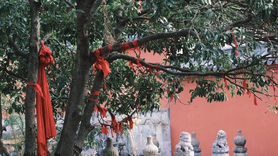 GuiyangTours