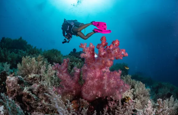 布納肯與萬鴉老灣三潛探險