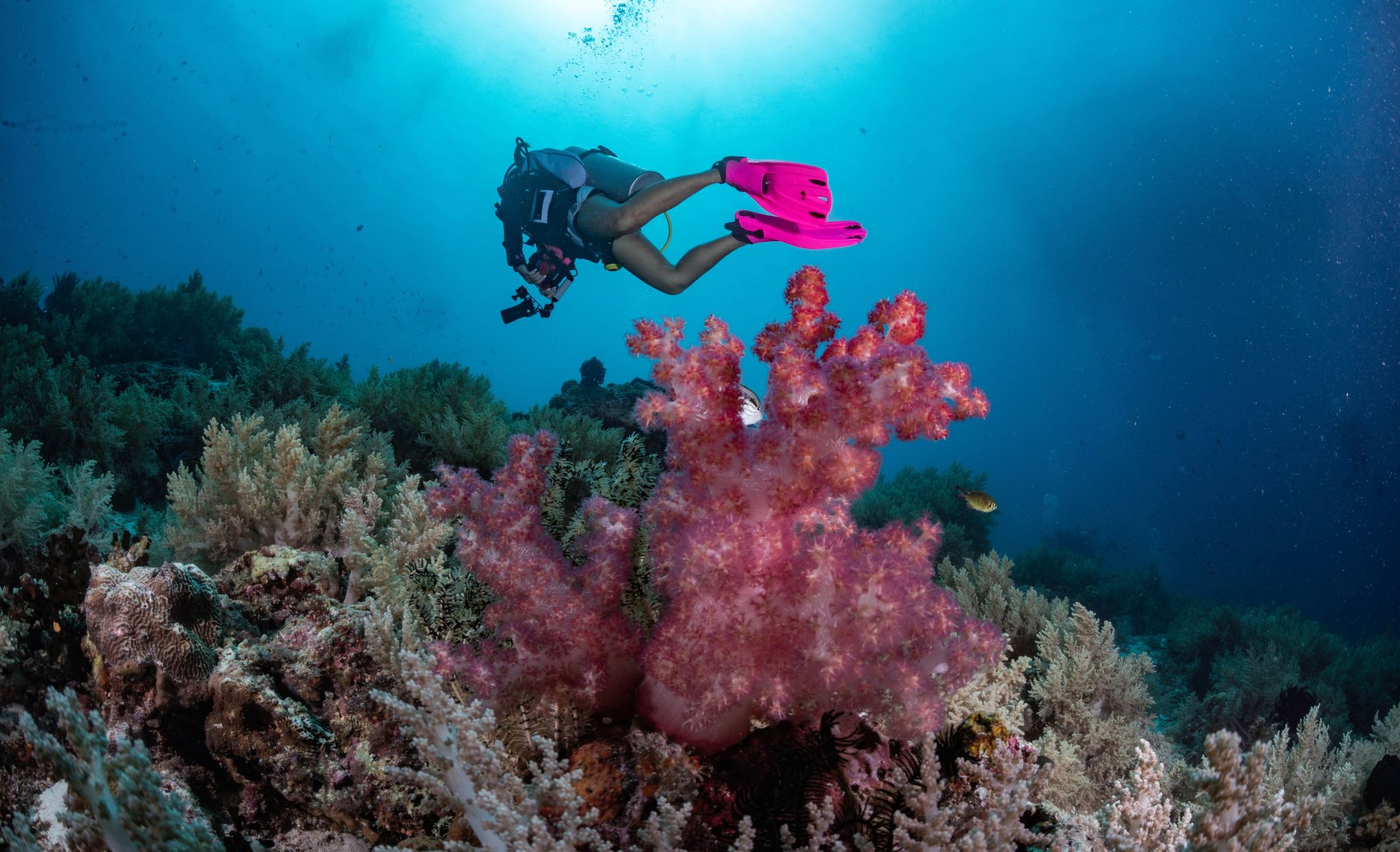 布納肯與萬鴉老灣三潛探險