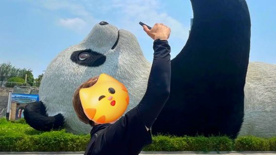 Visite privée d'une journée de la vallée des pandas de Chengdu + Dujiangyan + vue nocturne de Nanqiao - Comprend un guide, des billets, un chauffeur et des transferts à l'hôtel