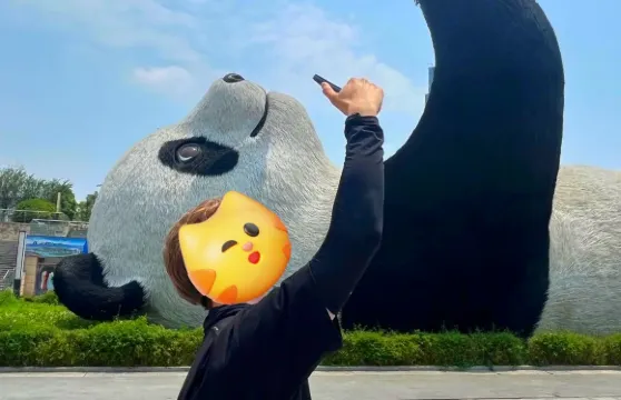 ○成都熊貓谷+都江堰私家團日遊+南橋夜景-含導遊-門票-司機車輛-酒店接送服務