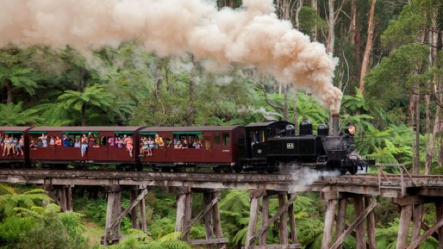 Australia|Melbourne Puffing Billy Steam Train Half-Day Tour with Chinese Service