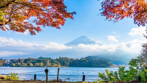 perjalanan satu hari ke dua danau terkenal di Gunung Fuji, toko serba ada Lawson, toko jam tangan Nikkawa, dan Taman Oishi.|Kelompok kecil yang terdiri dari 9 orang