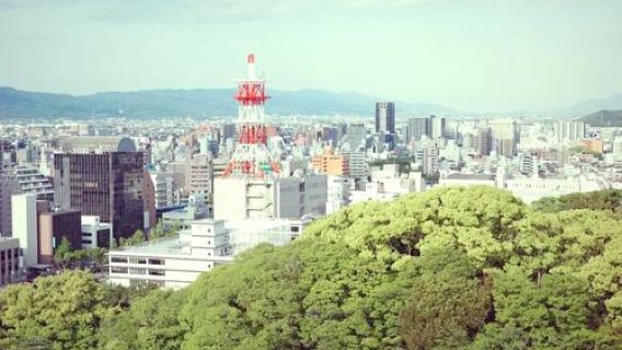 日本大阪+和歌山+三段壁+白良濱一日遊/行程可調-可訂製多日